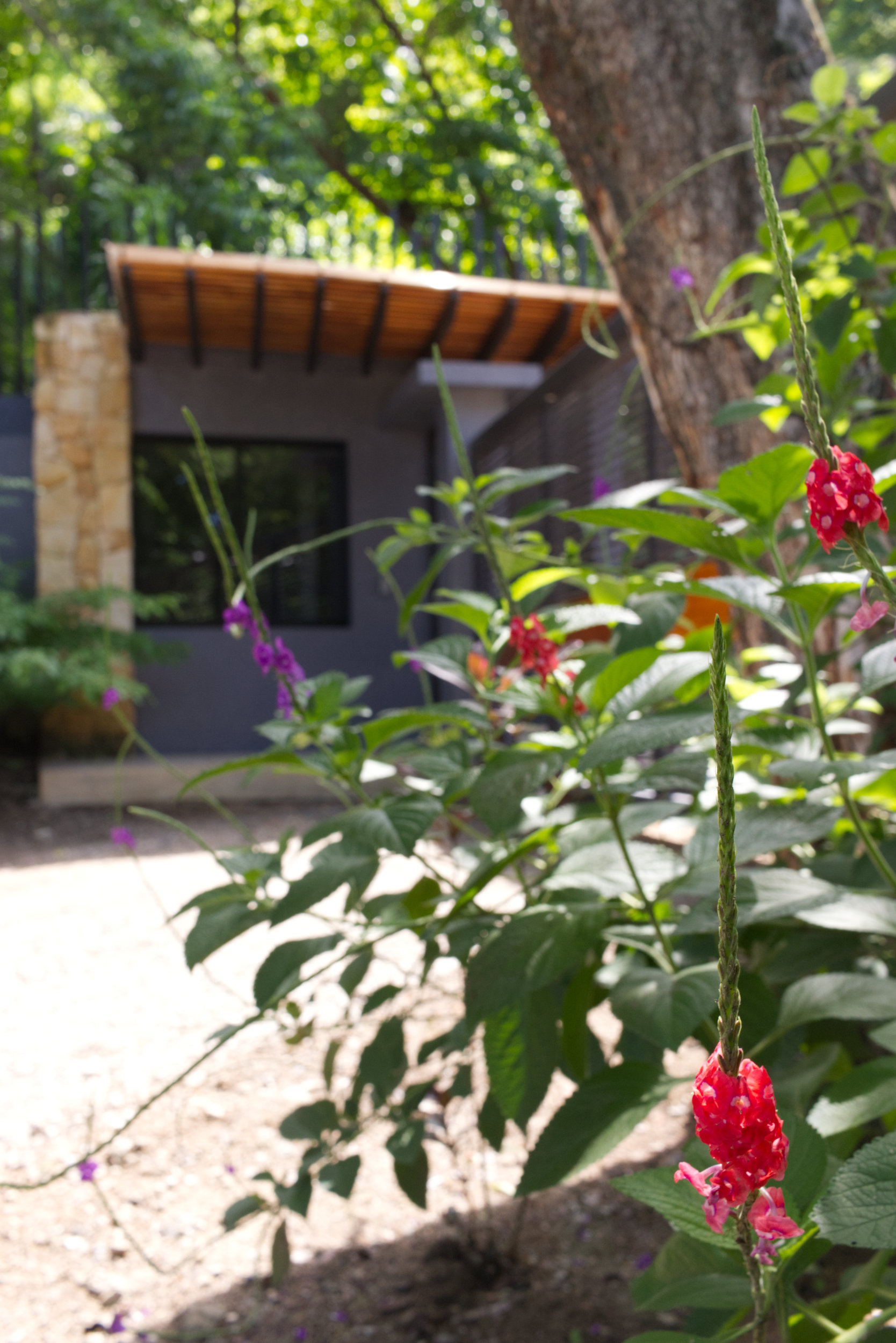 Exterior of Villas Santa Teresa condos in Costa Rica